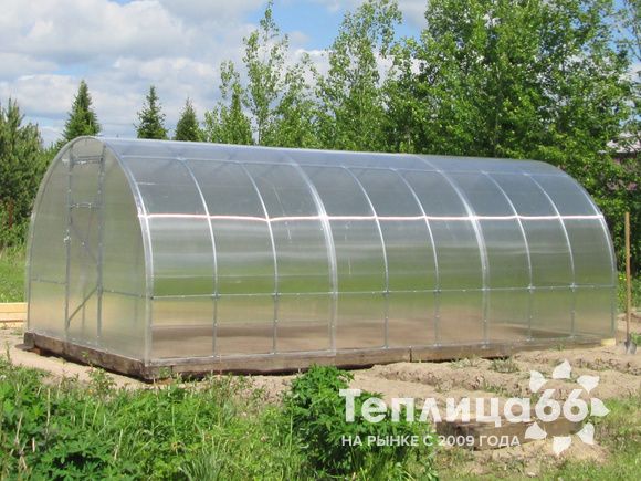 Теплица Рада Макси из поликарбоната, ширина 3 м